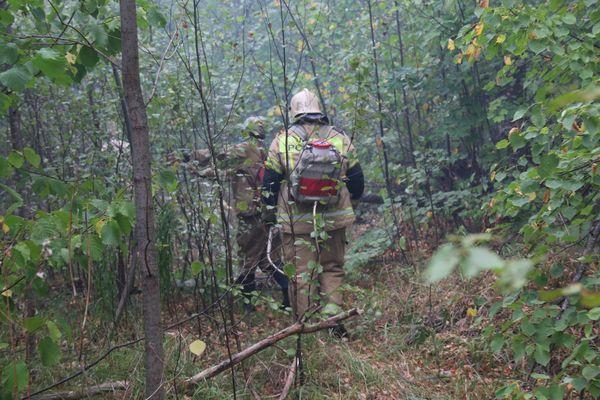 Пожарные локализовали очаги горения в Нижегородской области