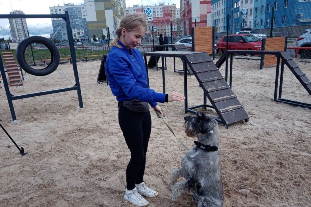 16 площадок для выгула собак обустроили в Нижнем Новгороде