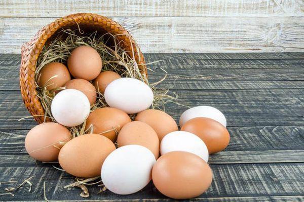 Фото Максимальный размер цены на яйца установят в Нижегородской области - Новости Живем в Нижнем
