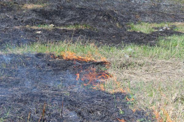 Нижегородцев предупредили о начале пожароопасного сезона в лесах Нижегородской области