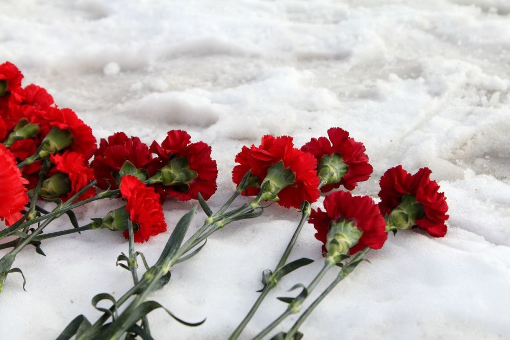 Фото Три мемориальные доски в память о погибших в СВО нижегородцах установят на фасадах школ - Новости Живем в Нижнем