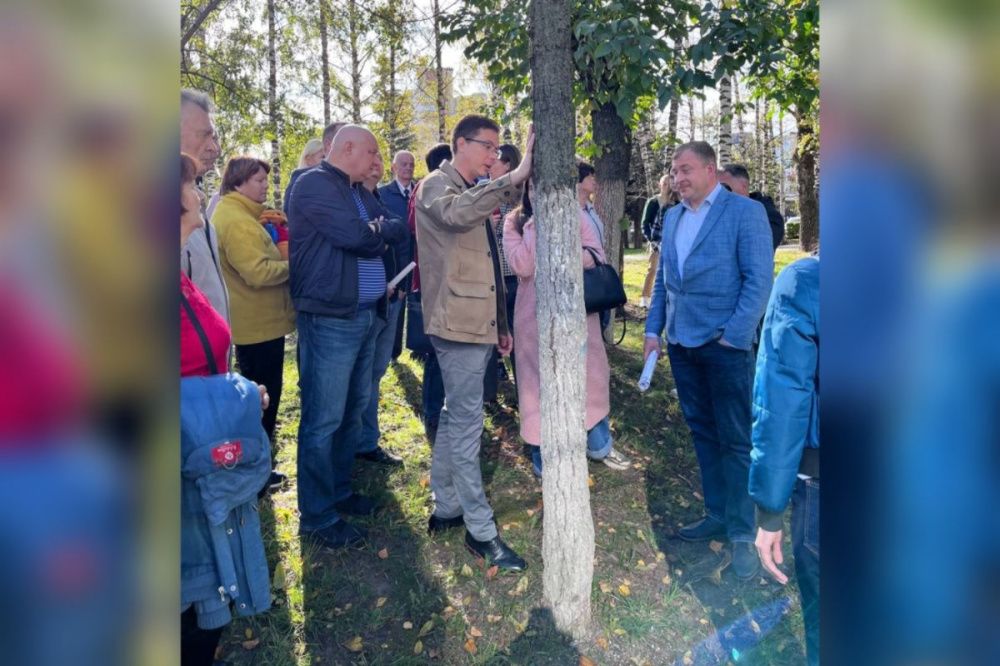 Фото Проект газопровода в Щербинках скорректируют для сохранения деревьев - Новости Живем в Нижнем