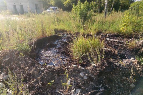 Фото ОАО «РЖД» возместило ущерб, причинённый окружающей среде Арзамасского района - Новости Живем в Нижнем