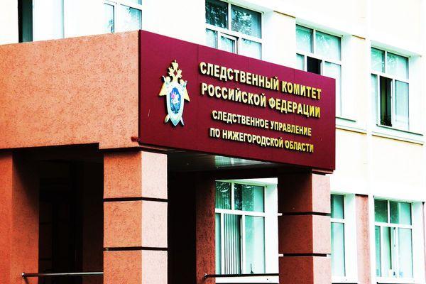 СК организовал проверку по факту гибели ребенка на пруду в Нижегородской области