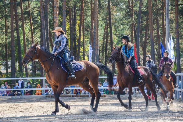 День лошади отпраздновали в Дзержинске