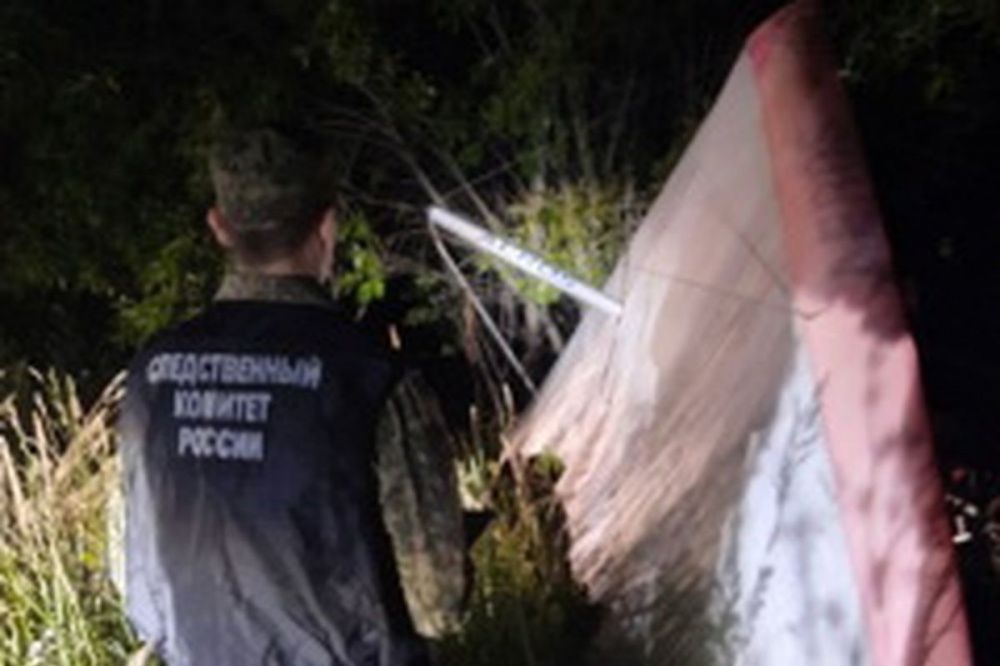 Следователи СК выясняют причины падения мотодельтаплана в Нижегородской области