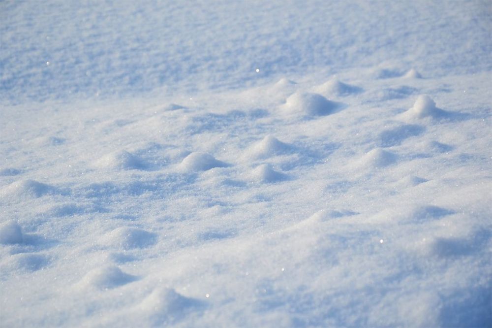 Снежный декабрь ожидается в Нижегородской области в 2021 году
