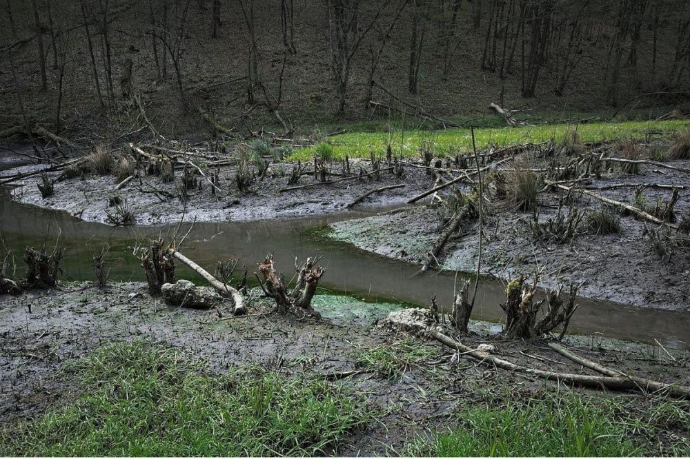 Дачные участки нижегородцев затопило селевым потоком с развязки в Ольгине 