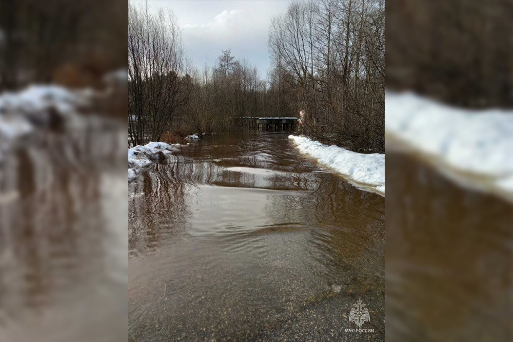 Два моста подтопило в Нижегородской области из-за роста уровня воды в реках