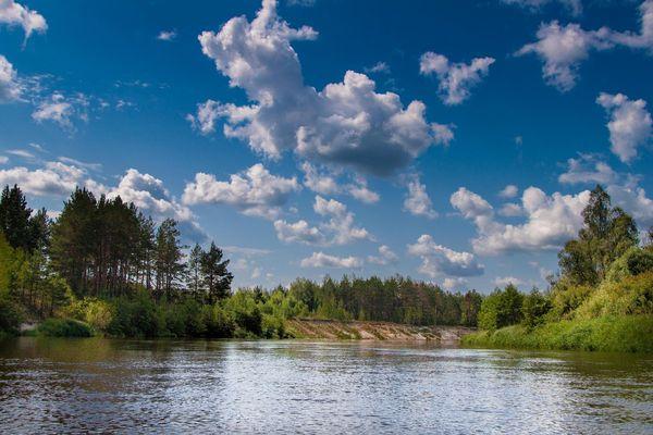 27-летний мужчина утонул в реке Теша в Нижегородской области