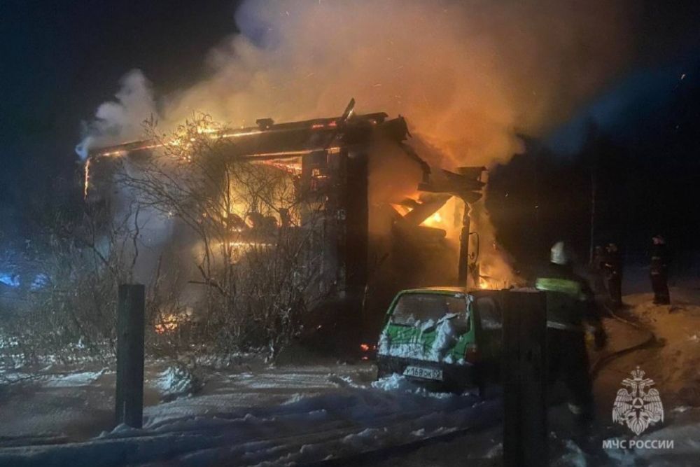 Женщина и девочка погибли на пожаре в Борском районе 10 января
