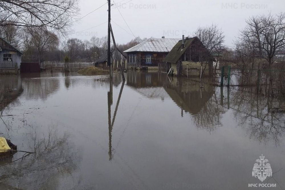 Придомовые участки затопило в Дивеевском районе Нижегородской области 26 марта