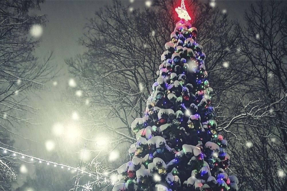 Фото Новогодние мероприятия пройдут в парках и скверах Нижнего Новгорода - Новости Живем в Нижнем