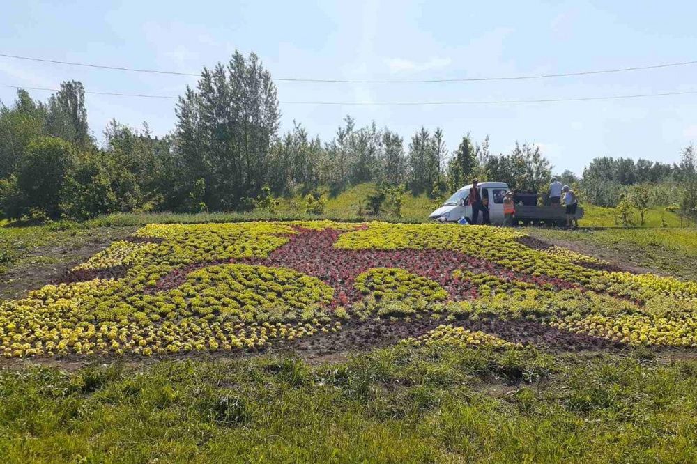 Фигуру оленя создали из 15 тысяч цветов на улице Ларина в Нижнем Новгороде