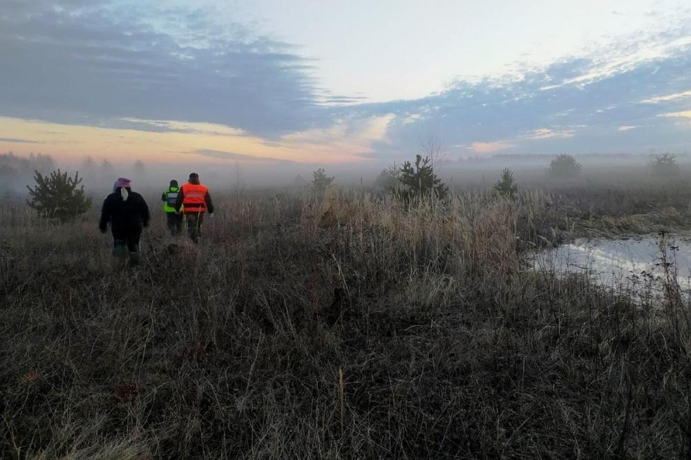 Пропавшего в лесу в Дальнеконстантиновском районе грибника нашли живым