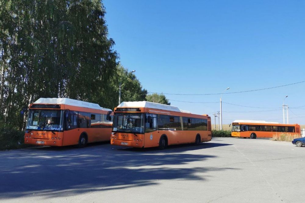 Фото Нижегородского перевозчика лишат права работать на маршруте из-за недовыпуска автобусов - Новости Живем в Нижнем