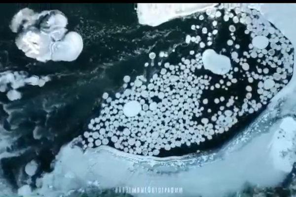 Необычные ледяные диски были обнаружены на реке в Нижегородской области