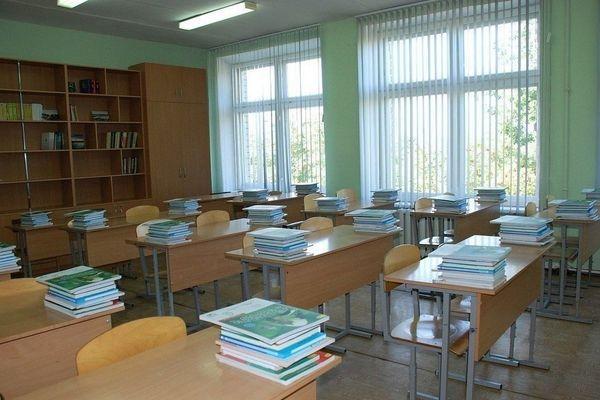 Фото Министр образования Нижегородской области рассказал, кто сорвал голосование за форму обучения в школах - Новости Живем в Нижнем