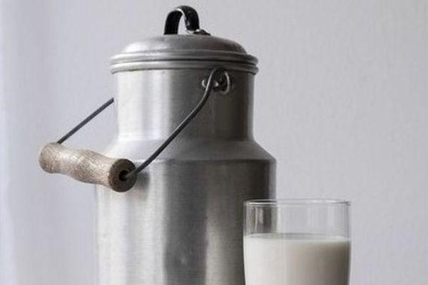 Молоко, сливочное масло и морковь подешевели в Нижегородской области с начала марта 