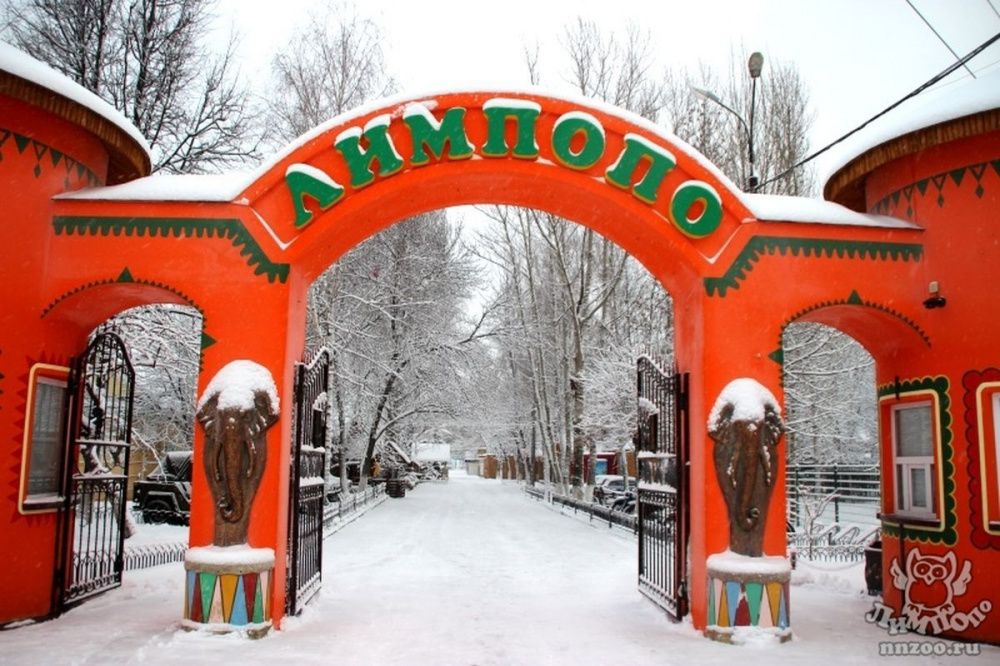 Татьяны смогут посетить нижегородский зоопарк «Лимпопо» с 50% скидкой 