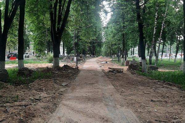 Более тысячи кустарников высадят на проспекте Гагарина в Нижнем Новгороде
