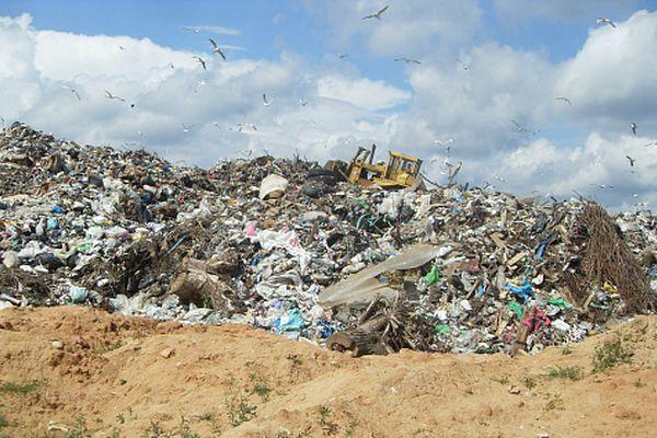 Многочисленные нарушения выявили на Балахнинском и Городецком мусорных полигонах 
