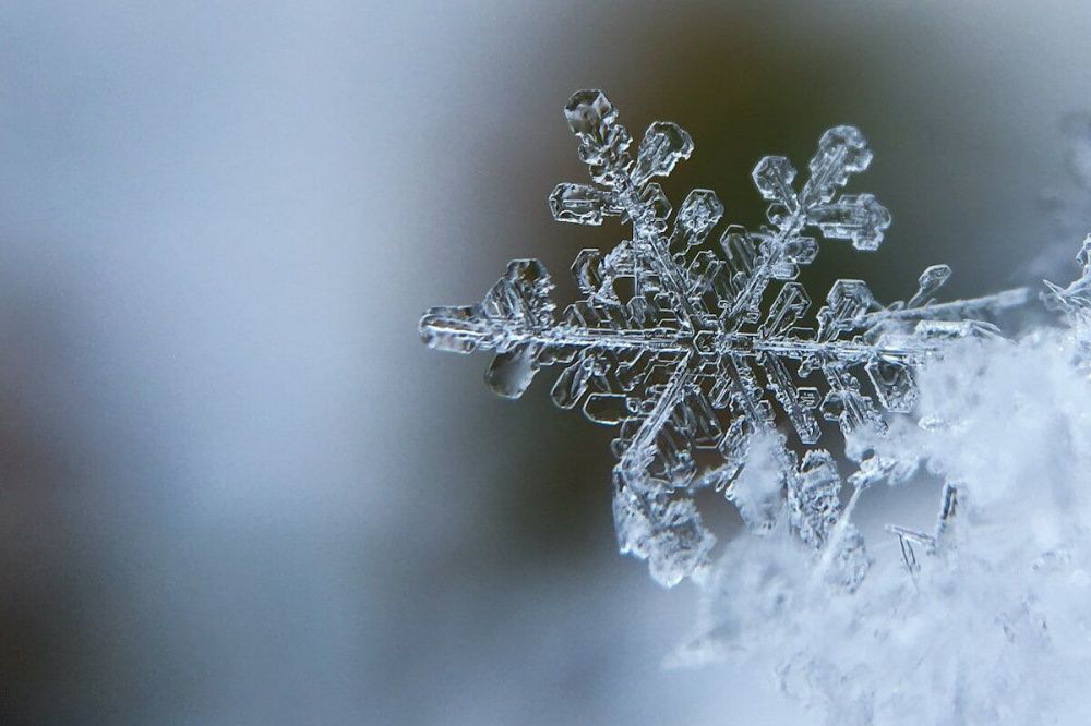 Фото 9 и 10 марта синоптики обещают нижегородцам обильный снегопад и снежные заносы - Новости Живем в Нижнем