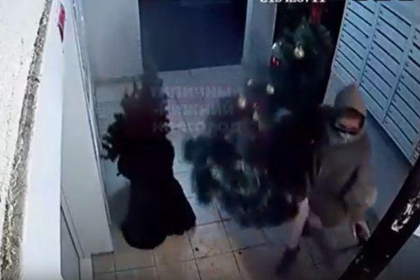 В одном из домов Нижнего Новгорода из подъезда украли новогоднюю елку