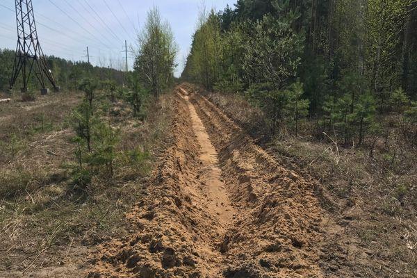 Фото 340 километров минерализованных полос проложено в лесах Нижегородской области - Новости Живем в Нижнем