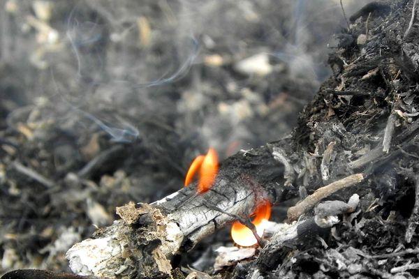 Высокая пожароопасность лесов сохранится в Нижегородской области до 23 сентября