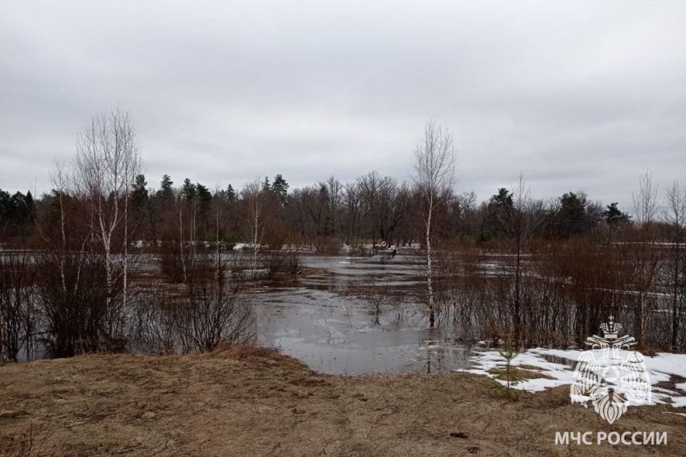 160 садов и 13 мостов затопило в Нижегородской области
