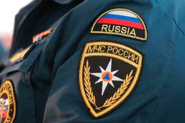 Пятерых провалившихся под лед детей спасли сотрудники МЧС в Городецком районе