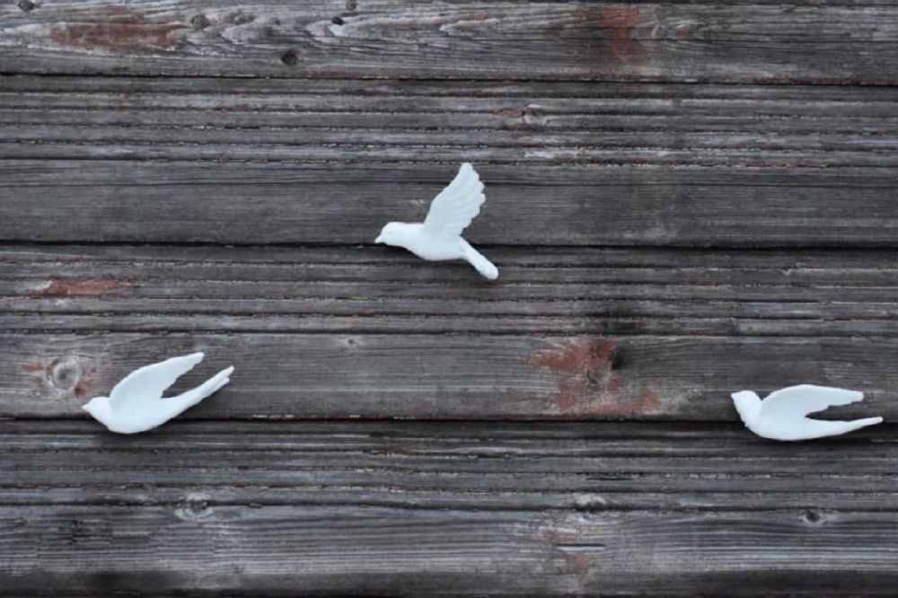 Фото Арт-объект с птицами пострадал от рук вандалов в Нижнем Новгороде - Новости Живем в Нижнем