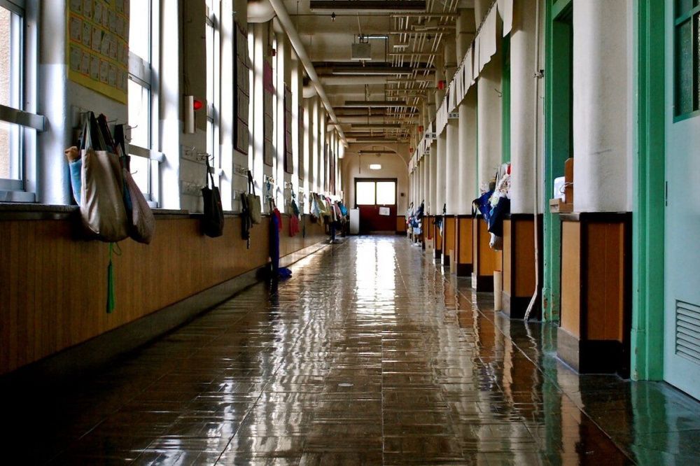 Медицинские и IT-факультеты чаще всего выбирают нижегородские выпускники в 2023 году