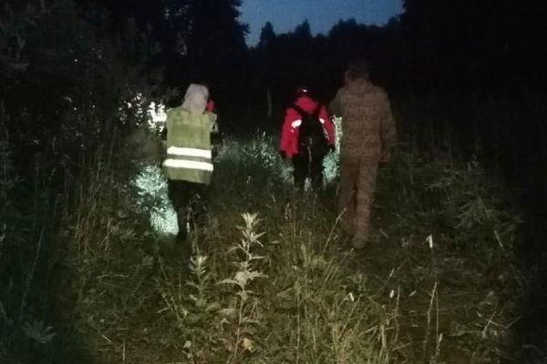 14 грибников пропали в лесах Нижегородской области за сутки