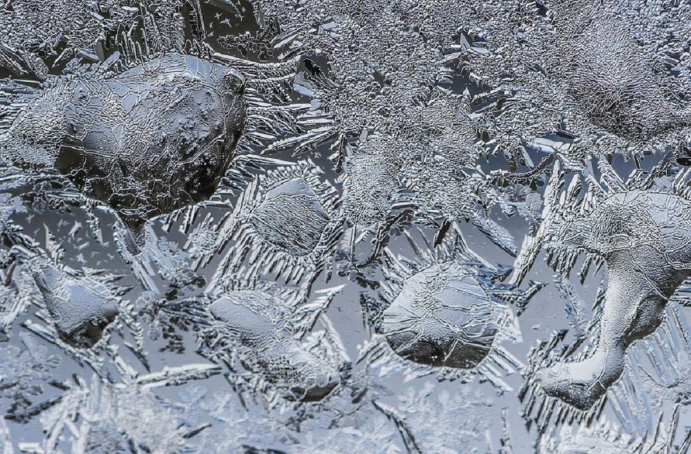 Фото Пострадавшие от ноябрьского ледяного дождя нижегородцы так и не получили компенсаций - Новости Живем в Нижнем