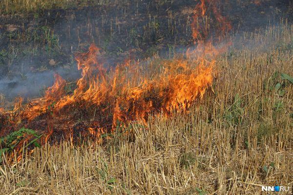 15 случаев возгорания сухой травы произошло в Нижегородской области 