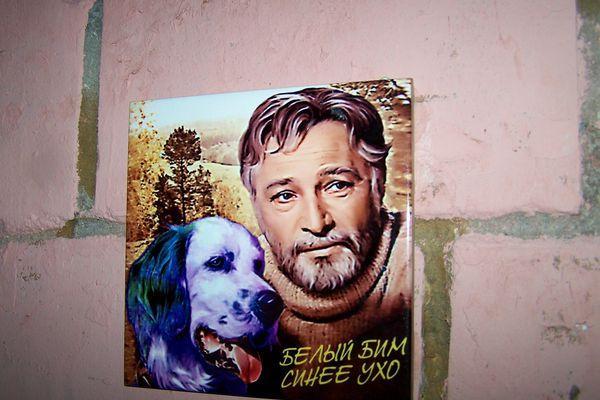 Стрит-арт с синей собакой разместили на улицах Нижнего Новгорода 