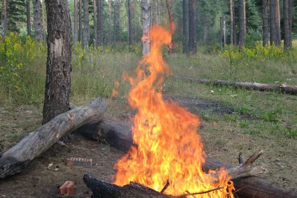 Высокая пожароопасность лесов ожидается в Нижегородской области 3-8 августа