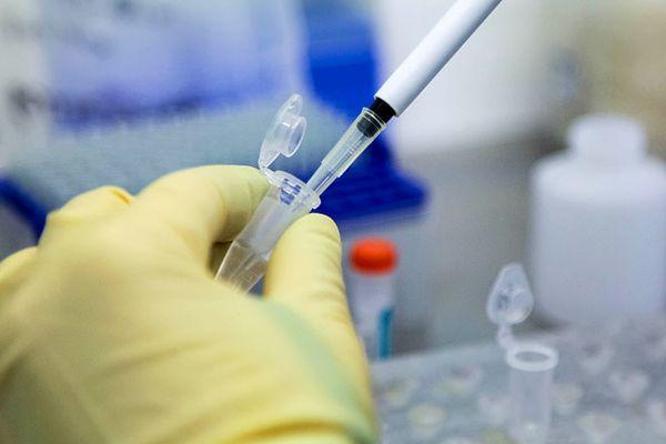 Еще одну вакцину от COVID-19 разрабатывают в Нижегородской области