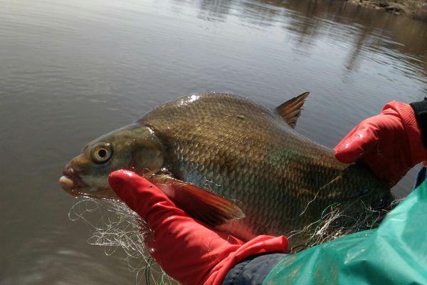Фото Сезон рыбалки официально открыли в Нижегородской области с 16 июня - Новости Живем в Нижнем