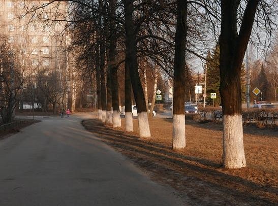 Новый тротуар уложат на улице 40 лет Победы Приокского района 