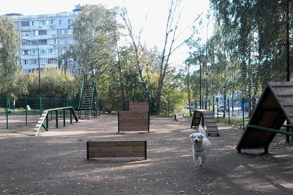 Фото Площадку для выгула и дрессировки собак построят в Нижнем Новгороде - Новости Живем в Нижнем