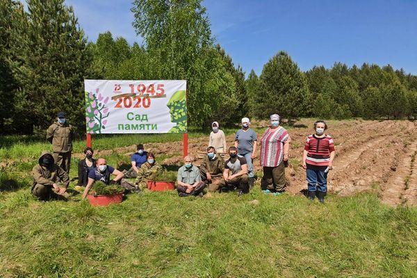 Более 300 тысяч деревьев посадят в Нижегородской области в 2021 году в память о героях ВОВ