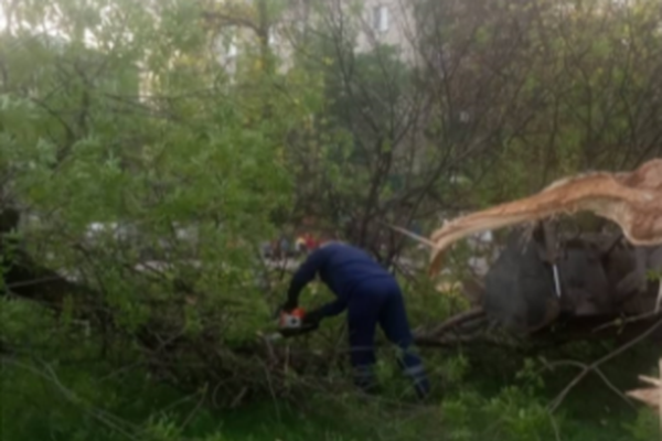 Фото Последствия урагана устраняют в Нижнем Новгороде - Новости Живем в Нижнем