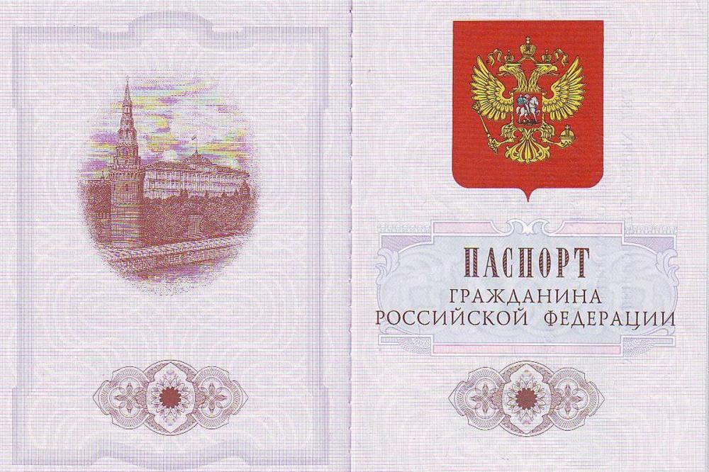 Фото Давид Мелик-Гусейнов заявил о необходимости предъявлять паспорт вместе с QR-кодом - Новости Живем в Нижнем