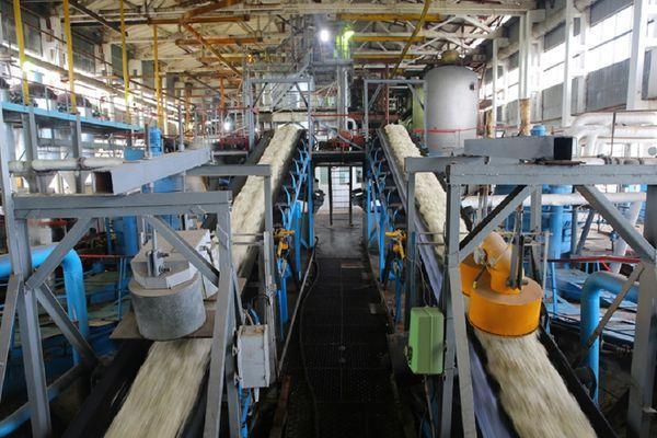 Сергачский сахарный завод получит 250 млн рублей субсидий