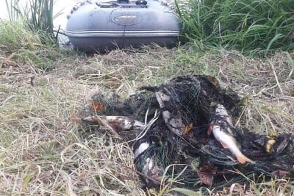 Рыбоохрана пресекла браконьерский вылов в Нижегородской области