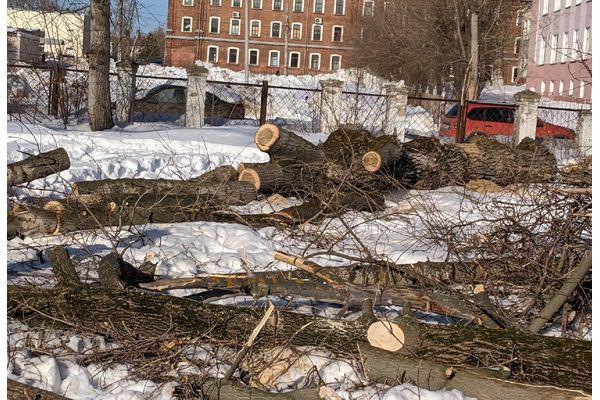 Фото Деревья начали вырубать в сквере «Техноткань» в Ленинском районе - Новости Живем в Нижнем