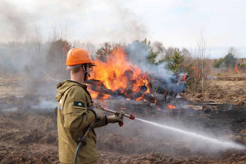 Фото Никитин подписал постановление об особом противопожарном режиме с 22 апреля - Новости Живем в Нижнем